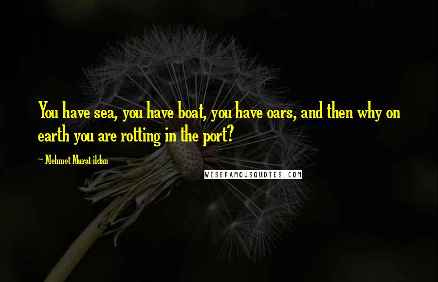 Mehmet Murat Ildan Quotes: You have sea, you have boat, you have oars, and then why on earth you are rotting in the port?