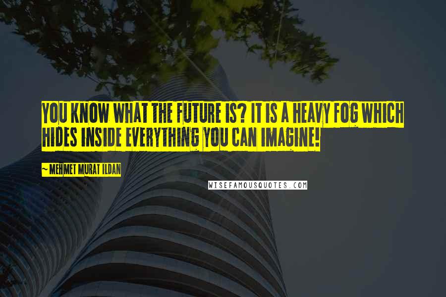 Mehmet Murat Ildan Quotes: You know what the future is? It is a heavy fog which hides inside everything you can imagine!