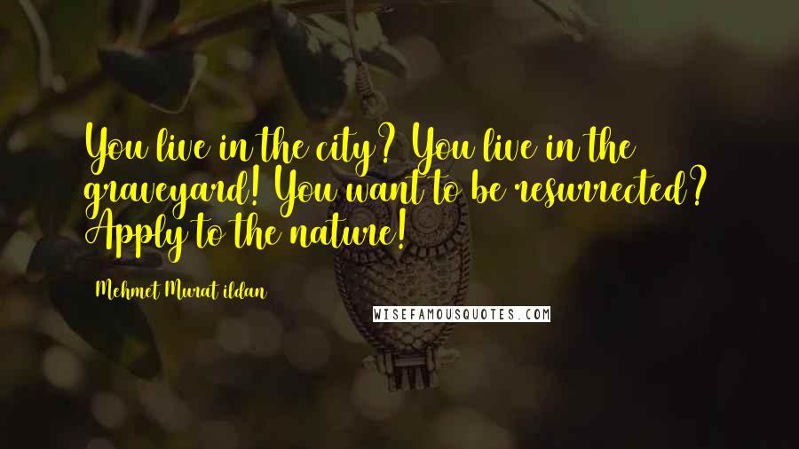 Mehmet Murat Ildan Quotes: You live in the city? You live in the graveyard! You want to be resurrected? Apply to the nature!