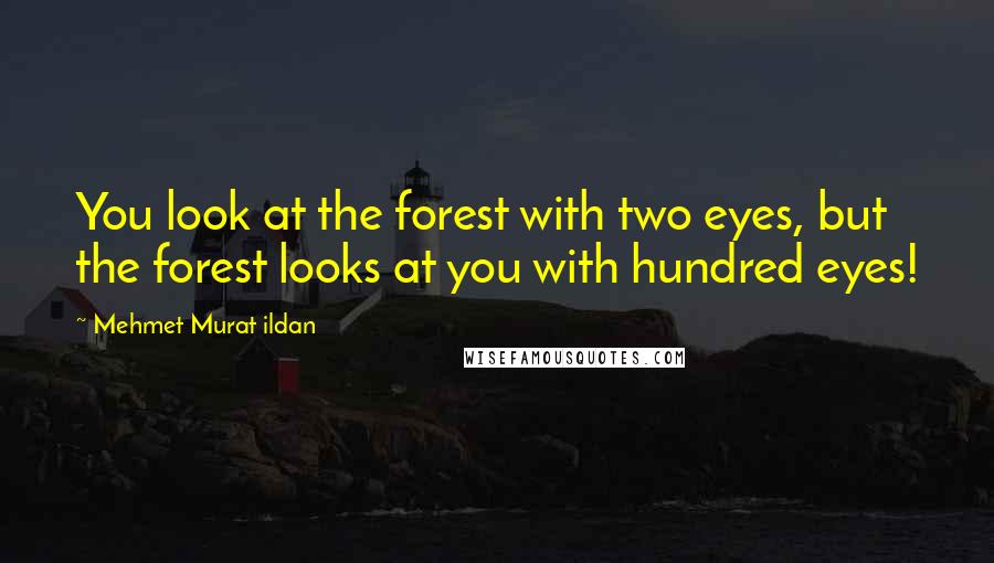 Mehmet Murat Ildan Quotes: You look at the forest with two eyes, but the forest looks at you with hundred eyes!