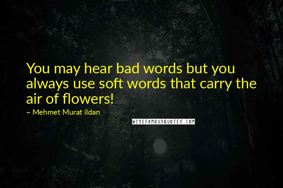 Mehmet Murat Ildan Quotes: You may hear bad words but you always use soft words that carry the air of flowers!