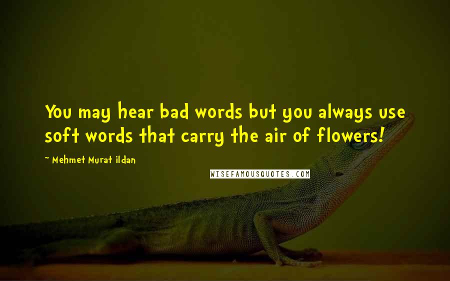 Mehmet Murat Ildan Quotes: You may hear bad words but you always use soft words that carry the air of flowers!