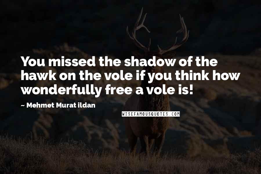 Mehmet Murat Ildan Quotes: You missed the shadow of the hawk on the vole if you think how wonderfully free a vole is!
