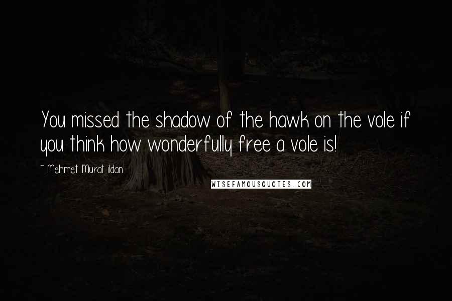 Mehmet Murat Ildan Quotes: You missed the shadow of the hawk on the vole if you think how wonderfully free a vole is!