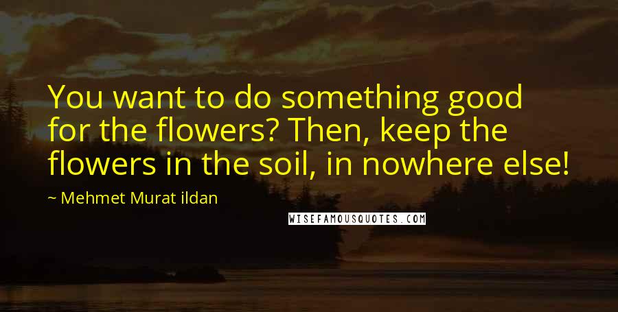 Mehmet Murat Ildan Quotes: You want to do something good for the flowers? Then, keep the flowers in the soil, in nowhere else!