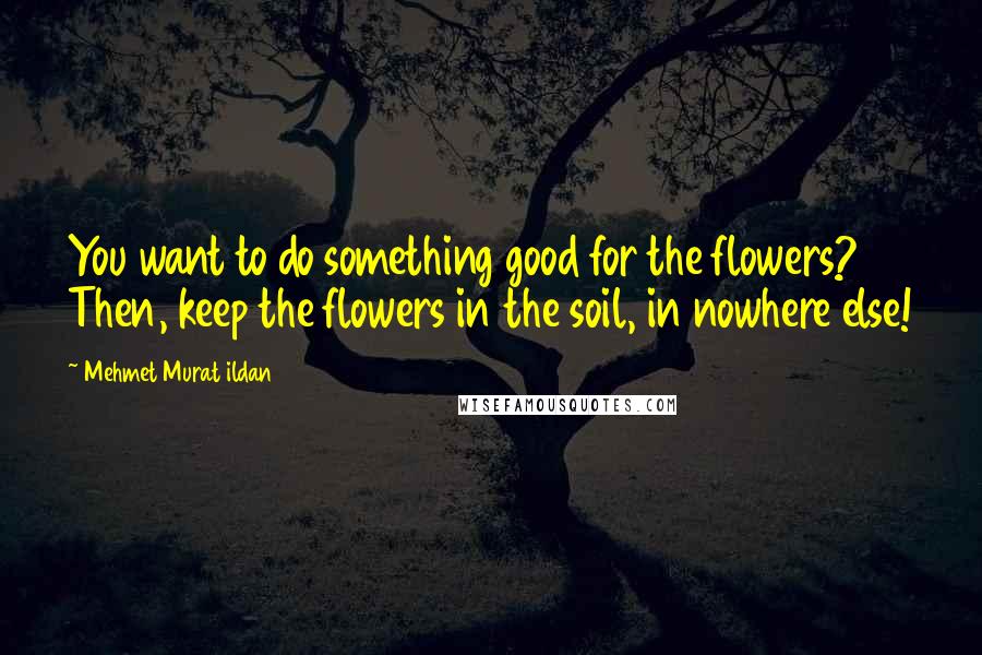 Mehmet Murat Ildan Quotes: You want to do something good for the flowers? Then, keep the flowers in the soil, in nowhere else!
