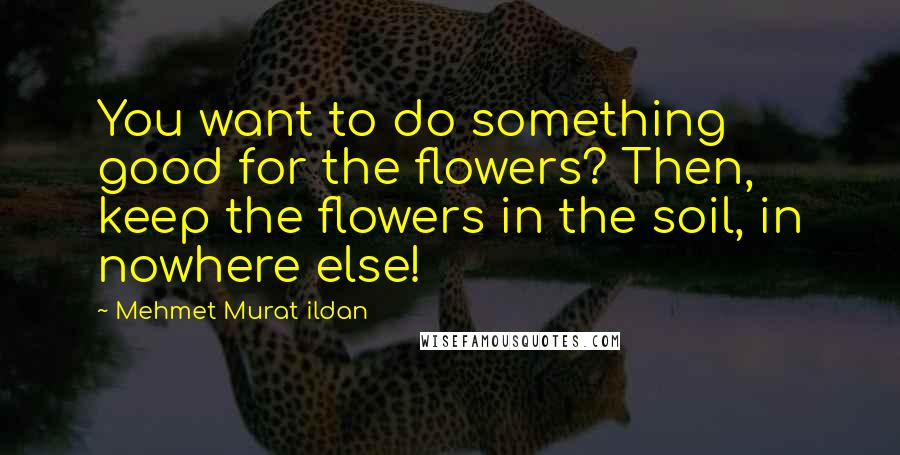 Mehmet Murat Ildan Quotes: You want to do something good for the flowers? Then, keep the flowers in the soil, in nowhere else!