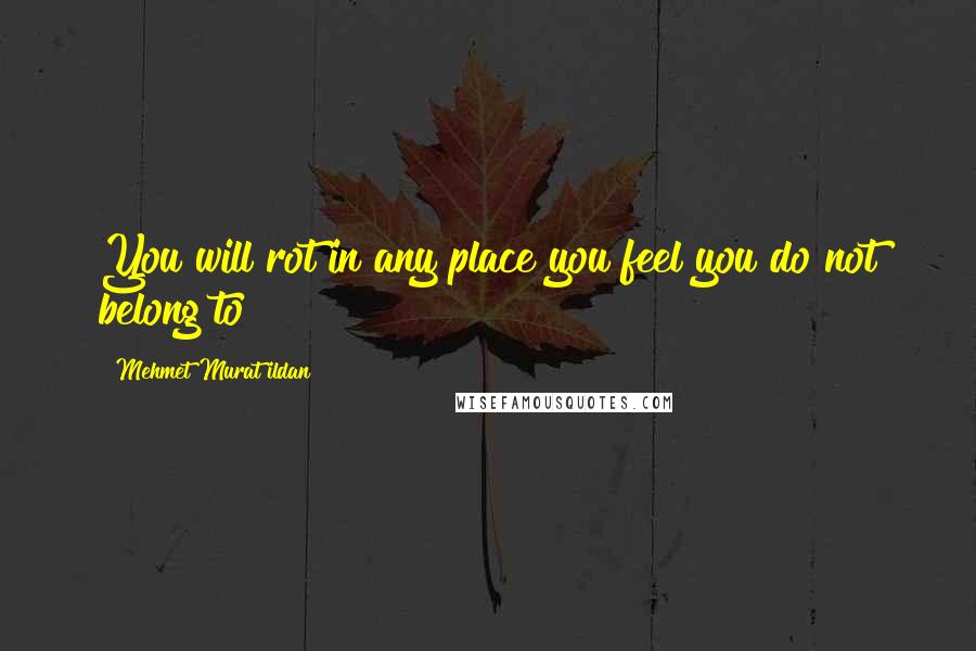 Mehmet Murat Ildan Quotes: You will rot in any place you feel you do not belong to!
