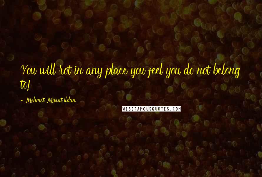 Mehmet Murat Ildan Quotes: You will rot in any place you feel you do not belong to!