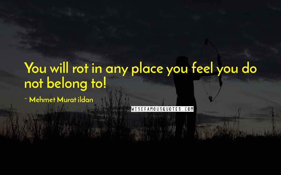 Mehmet Murat Ildan Quotes: You will rot in any place you feel you do not belong to!