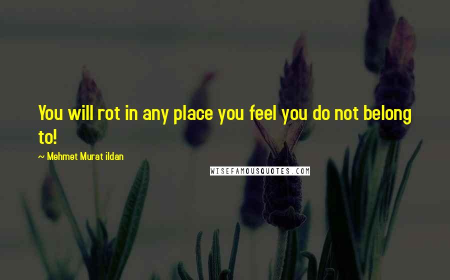 Mehmet Murat Ildan Quotes: You will rot in any place you feel you do not belong to!