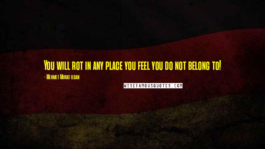 Mehmet Murat Ildan Quotes: You will rot in any place you feel you do not belong to!