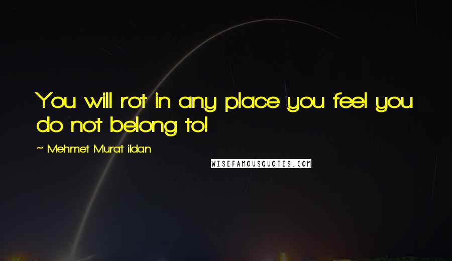Mehmet Murat Ildan Quotes: You will rot in any place you feel you do not belong to!