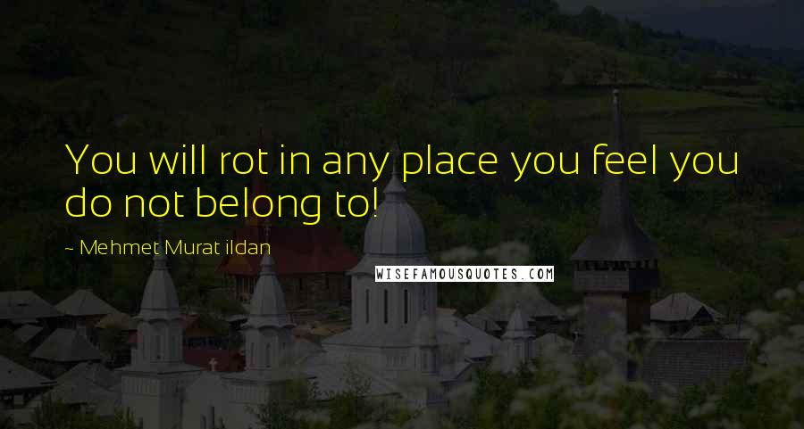 Mehmet Murat Ildan Quotes: You will rot in any place you feel you do not belong to!