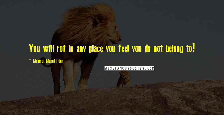 Mehmet Murat Ildan Quotes: You will rot in any place you feel you do not belong to!