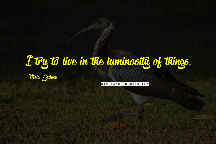 Meia Geddes Quotes: I try to live in the luminosity of things.