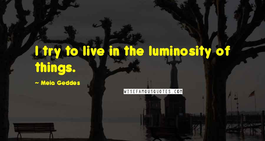 Meia Geddes Quotes: I try to live in the luminosity of things.