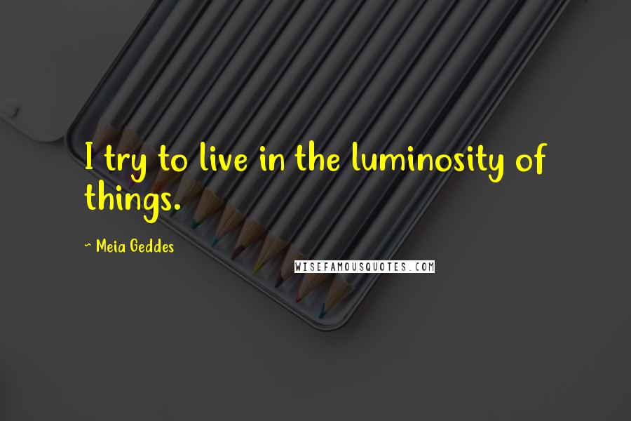 Meia Geddes Quotes: I try to live in the luminosity of things.