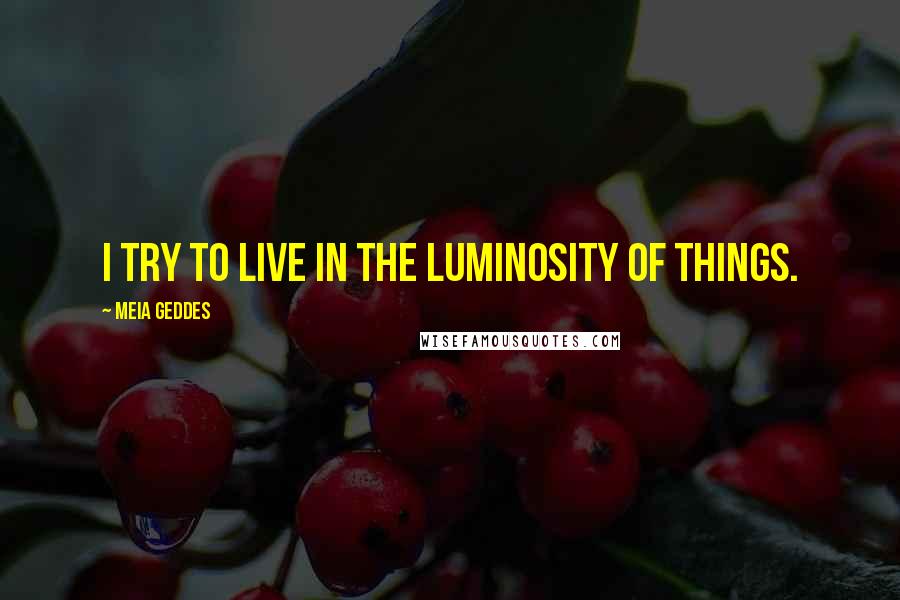 Meia Geddes Quotes: I try to live in the luminosity of things.