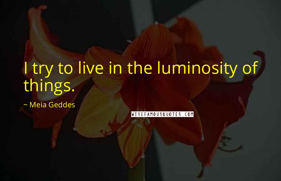 Meia Geddes Quotes: I try to live in the luminosity of things.