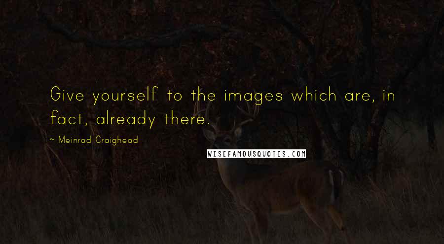 Meinrad Craighead Quotes: Give yourself to the images which are, in fact, already there.