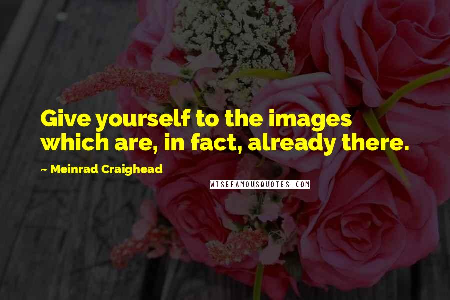 Meinrad Craighead Quotes: Give yourself to the images which are, in fact, already there.