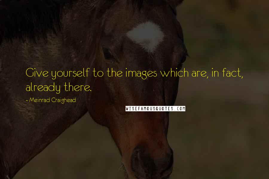 Meinrad Craighead Quotes: Give yourself to the images which are, in fact, already there.