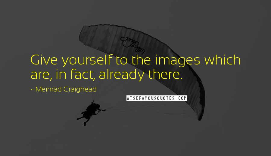 Meinrad Craighead Quotes: Give yourself to the images which are, in fact, already there.