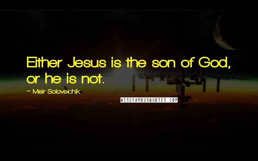 Meir Soloveichik Quotes: Either Jesus is the son of God, or he is not.