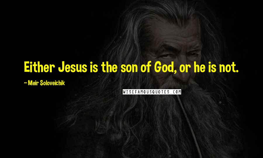 Meir Soloveichik Quotes: Either Jesus is the son of God, or he is not.