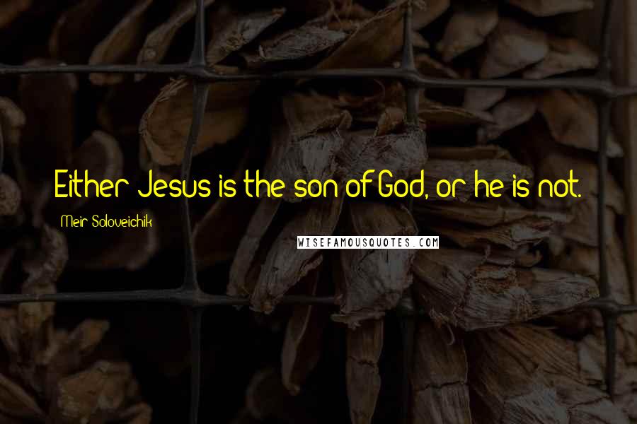 Meir Soloveichik Quotes: Either Jesus is the son of God, or he is not.