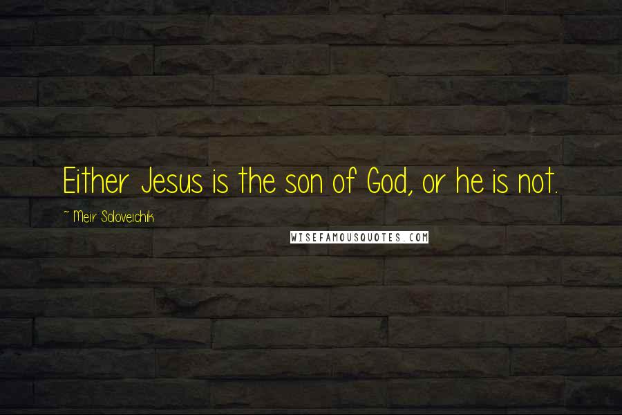 Meir Soloveichik Quotes: Either Jesus is the son of God, or he is not.