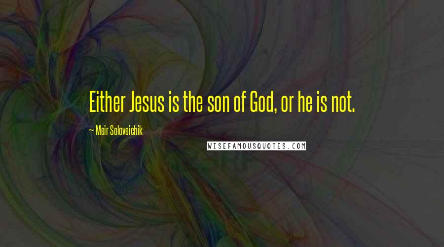 Meir Soloveichik Quotes: Either Jesus is the son of God, or he is not.