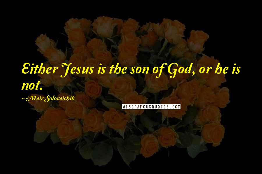 Meir Soloveichik Quotes: Either Jesus is the son of God, or he is not.