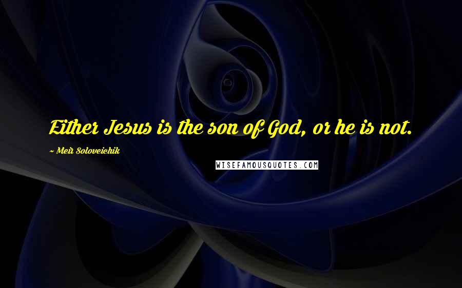 Meir Soloveichik Quotes: Either Jesus is the son of God, or he is not.