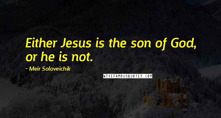 Meir Soloveichik Quotes: Either Jesus is the son of God, or he is not.