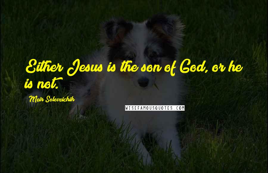 Meir Soloveichik Quotes: Either Jesus is the son of God, or he is not.