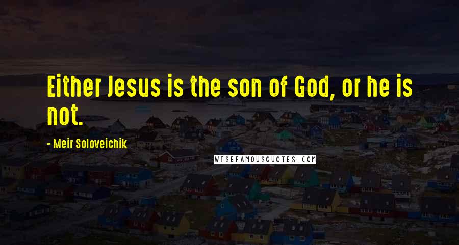 Meir Soloveichik Quotes: Either Jesus is the son of God, or he is not.