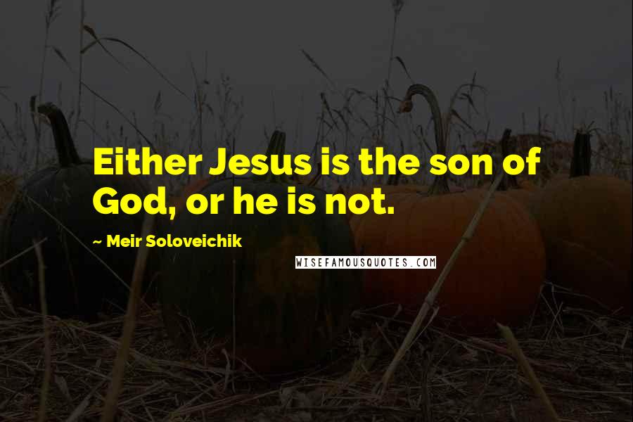 Meir Soloveichik Quotes: Either Jesus is the son of God, or he is not.