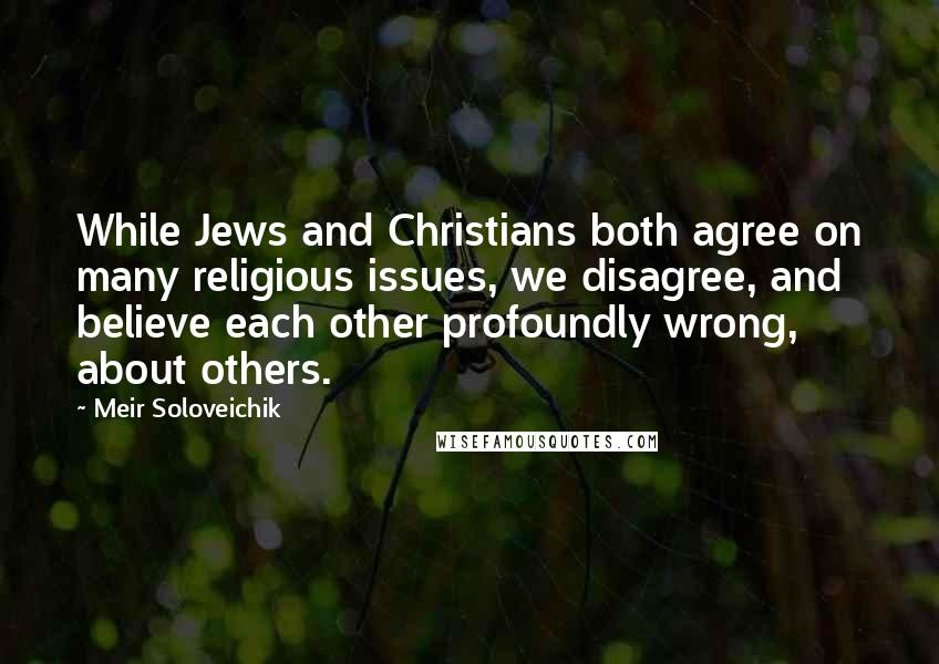 Meir Soloveichik Quotes: While Jews and Christians both agree on many religious issues, we disagree, and believe each other profoundly wrong, about others.