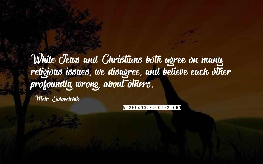 Meir Soloveichik Quotes: While Jews and Christians both agree on many religious issues, we disagree, and believe each other profoundly wrong, about others.