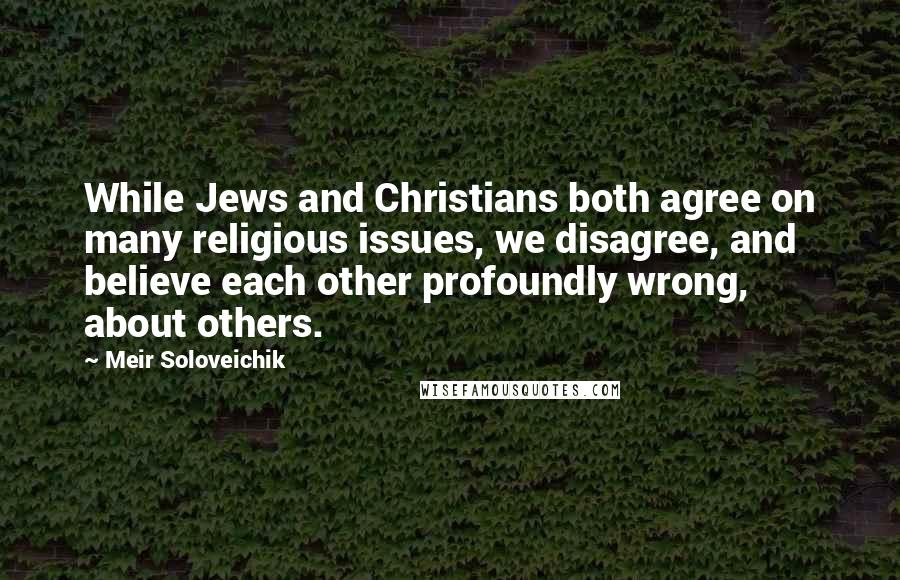 Meir Soloveichik Quotes: While Jews and Christians both agree on many religious issues, we disagree, and believe each other profoundly wrong, about others.