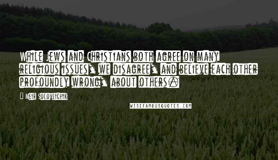 Meir Soloveichik Quotes: While Jews and Christians both agree on many religious issues, we disagree, and believe each other profoundly wrong, about others.