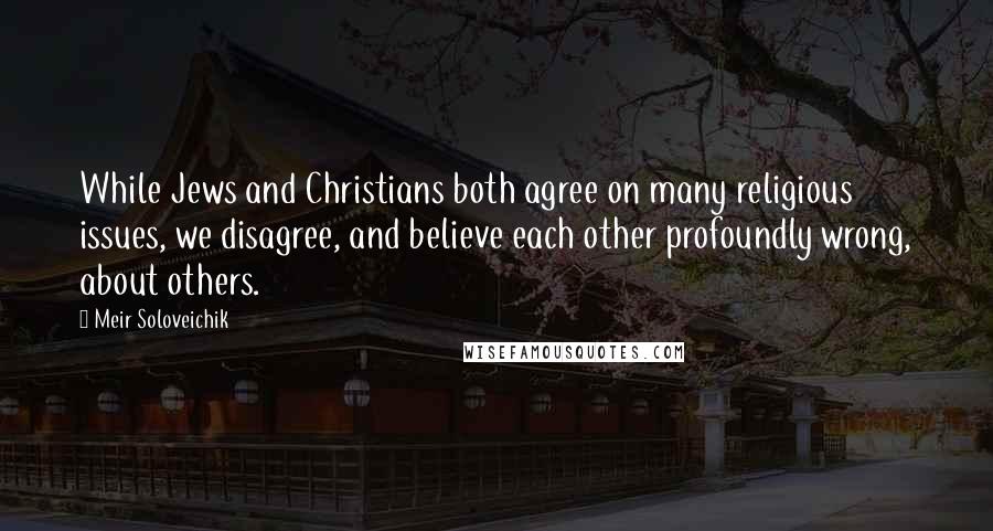 Meir Soloveichik Quotes: While Jews and Christians both agree on many religious issues, we disagree, and believe each other profoundly wrong, about others.