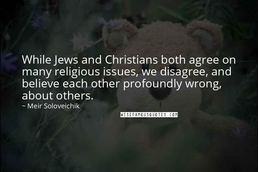 Meir Soloveichik Quotes: While Jews and Christians both agree on many religious issues, we disagree, and believe each other profoundly wrong, about others.