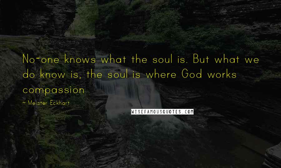 Meister Eckhart Quotes: No-one knows what the soul is. But what we do know is, the soul is where God works compassion