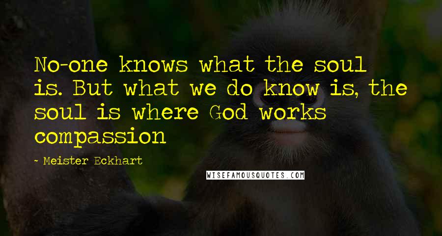 Meister Eckhart Quotes: No-one knows what the soul is. But what we do know is, the soul is where God works compassion