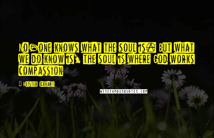 Meister Eckhart Quotes: No-one knows what the soul is. But what we do know is, the soul is where God works compassion