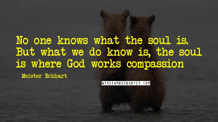 Meister Eckhart Quotes: No-one knows what the soul is. But what we do know is, the soul is where God works compassion