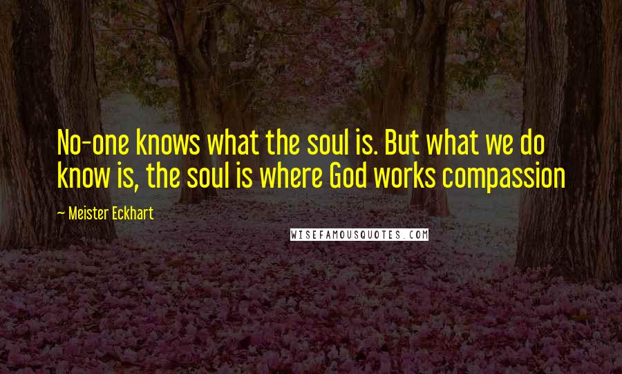 Meister Eckhart Quotes: No-one knows what the soul is. But what we do know is, the soul is where God works compassion